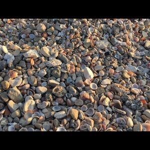 Meet your Posher, Jean